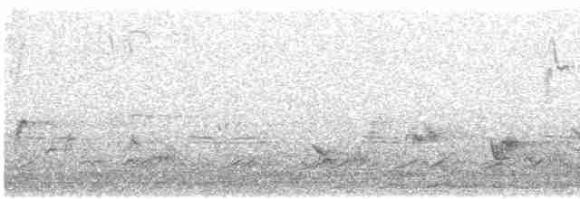 Чайка малабарська - ML531369761