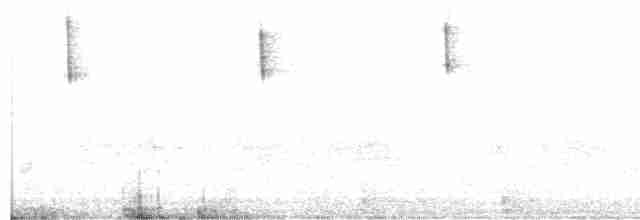 Gelbkehlammer - ML531373511