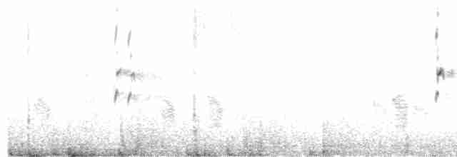 Малый пегий зимородок - ML531374761
