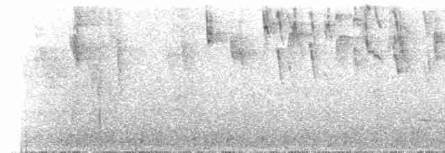 Gray-mantled Wren - ML531375