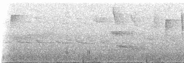 Gray-mantled Wren - ML531376