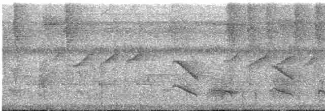 Тиран-карлик амазонійський - ML531376991