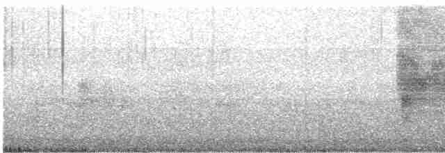 Çığlıkçı İnekkuşu - ML531382521
