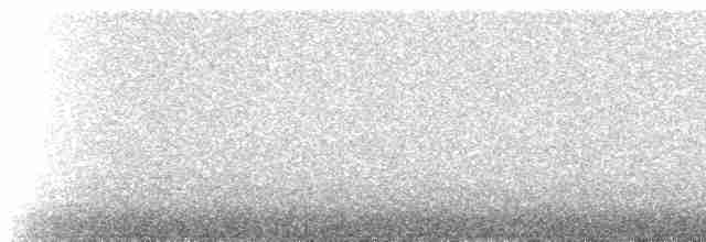 Tarçın Göğüslü Todi Tiranı - ML531388