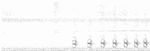 Sooretama Slaty-Antshrike - ML531389931