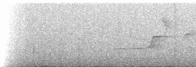 Güney Sorguçlu Sinekkapan - ML531391