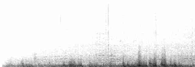 コクガン（hrota） - ML531402831