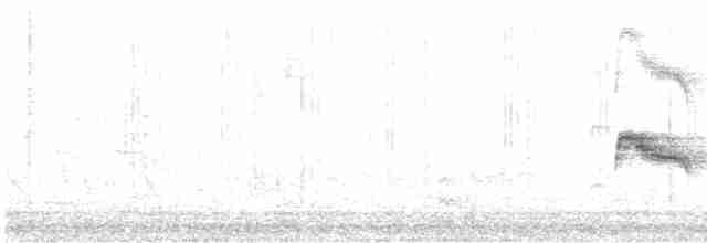 Серогрудый мухолов - ML531421401