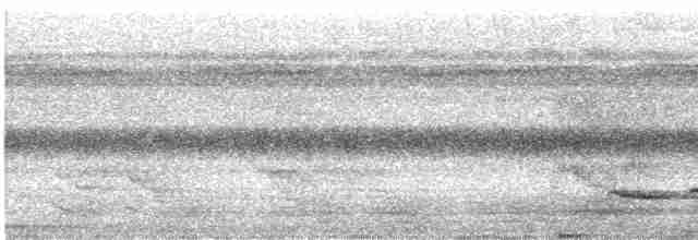 Weißschulter-Ameisenvogel - ML531455161