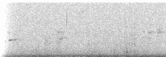 Сичик-горобець болівійський - ML531466