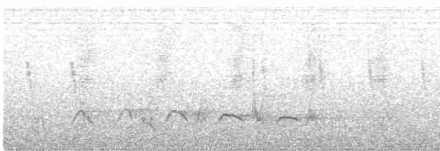 Barred Long-tailed Cuckoo - ML531481631