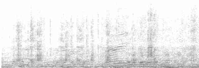 Kara Boyunlu Orman Leyleği - ML531493741