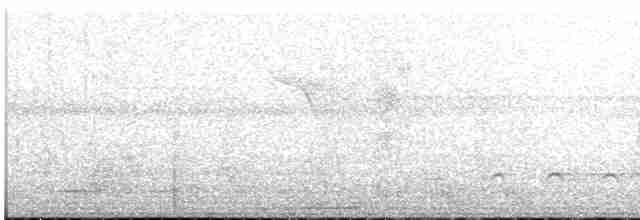 Полосатый канюк - ML531513861