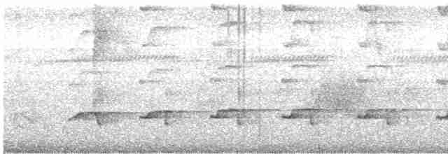 Дятел-смугань жовтобровий - ML531516031