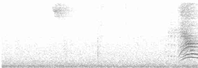 White-necked Thrush - ML531517791