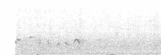 Kara Sırtlı Kocabaş - ML531549421