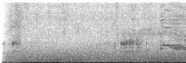 Chara de Steller - ML531569221