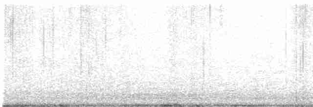 Swinhoe's White-eye - ML531572821