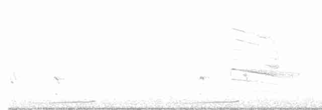 holoubek vrabčí - ML531600331