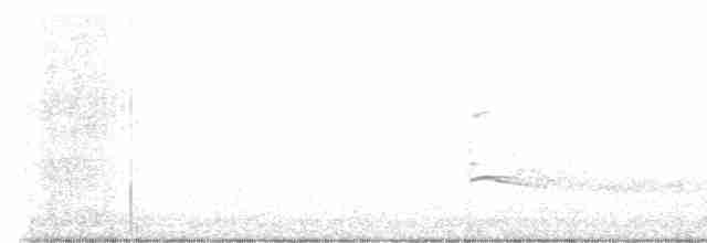 káně rudochvostá (ssp. calurus/alascensis) - ML531607491