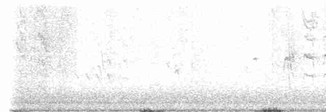 Braunkopfkleiber - ML531613261