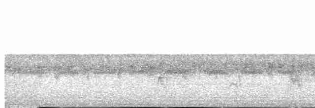 Сплюшка санта-катаринська - ML531614161