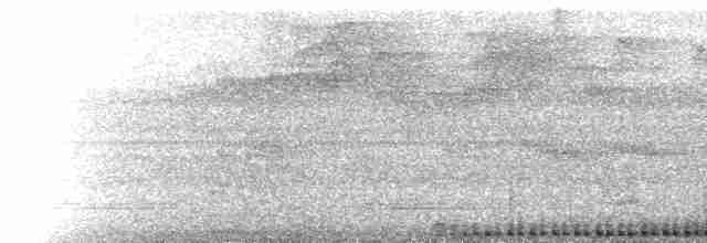  - Scarlet-banded Barbet