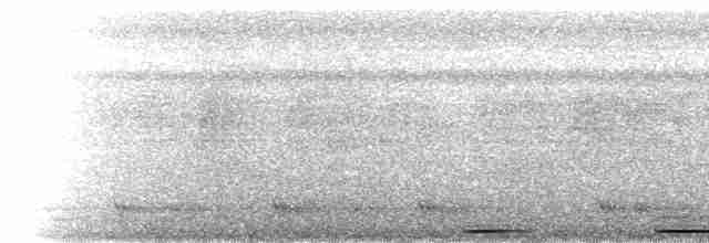  - Five-colored Barbet