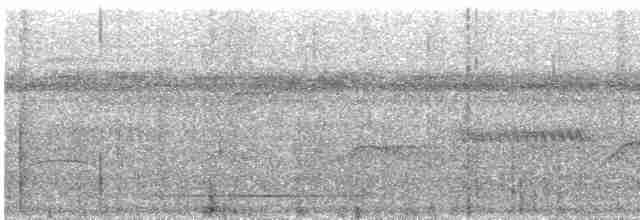 White-throated Tinamou - ML531637591