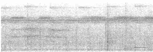 Tinamou à gorge blanche - ML531638321
