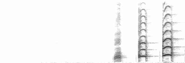  - Red-legged Seriema