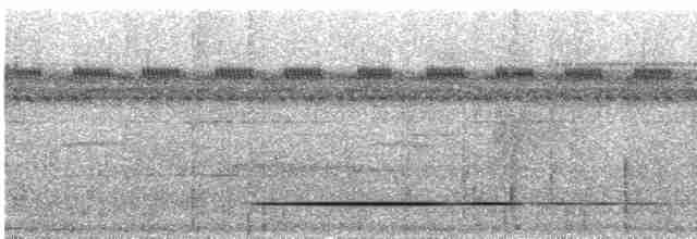Красногрудый скрытохвост - ML531639011