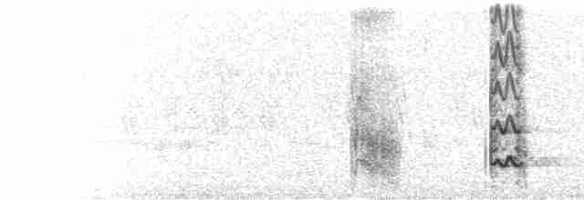  - Spot-winged Falconet