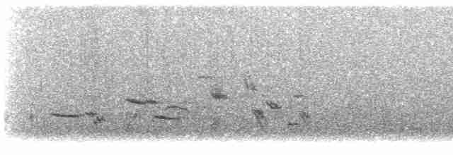 Western Meadowlark - ML531701911