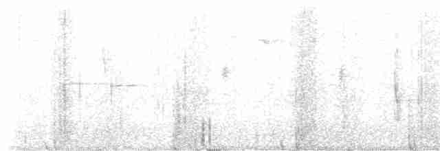White-throated Dipper - ML531739281