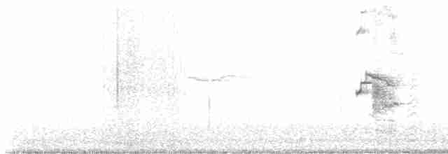 Common Gull (European) - ML531771201