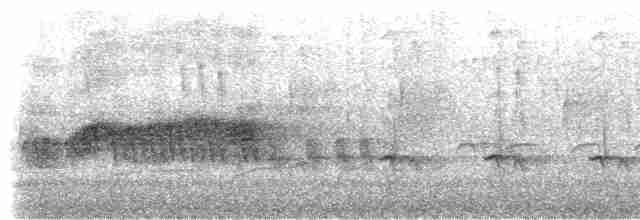 Синелобая якамара - ML531796251