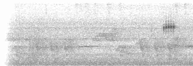 Güneyli Sert Kanatlı Kırlangıç - ML531800111