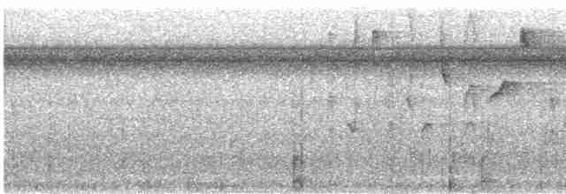 Conirostre marguerite - ML531814021