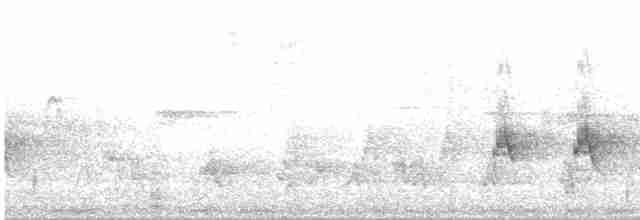 Нікорник сірий (підвид cinerea/funebris) - ML531816501