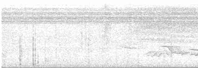 Акалат сіробровий - ML531827971