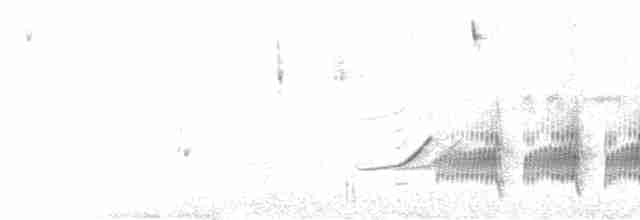  - Rufous-banded Miner