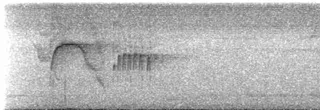 Turuncu Gözlü Yassıgaga - ML531910961