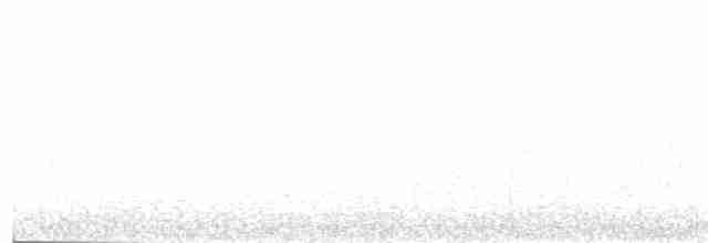 Пестрогорлый соловьиный дрозд - ML53193321