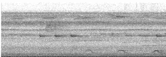 Trogon à queue noire - ML531972601
