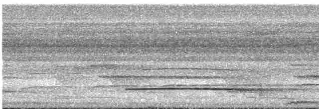 langnebbtreløper - ML531982051