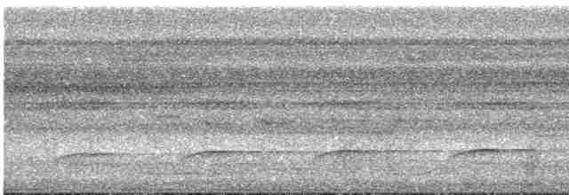 Белоухий крапивник - ML532003961
