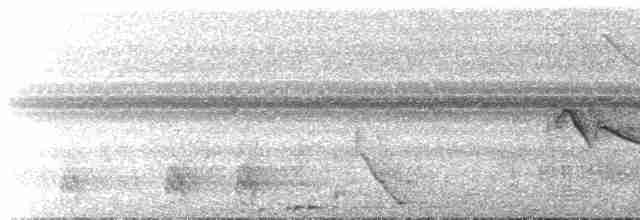 Plumbeous Kite - ML532083301