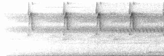 Белобородый колибри-отшельник - ML532102481