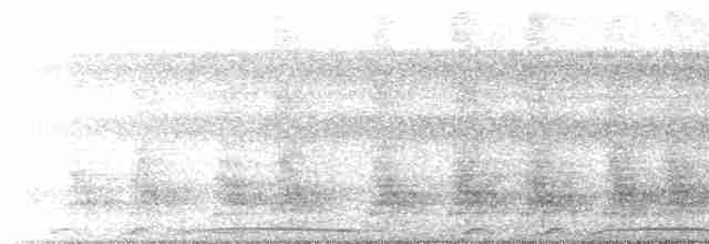 Weißschulter-Ameisenvogel - ML532102541